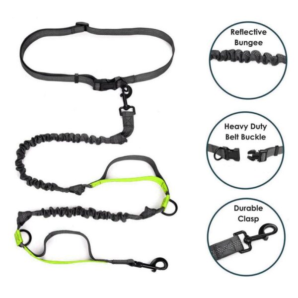 leash-elastic-v2-function-2